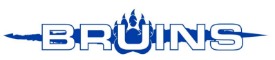 bruins_logo.png