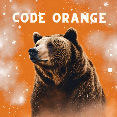 Decorative image of a bear and the words code orange on an orange background
