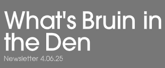 Bruin in the den cover photo